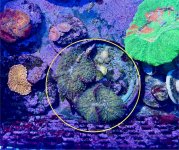 IMG_0296.jpeg