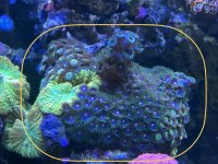 IMG_0294.jpeg