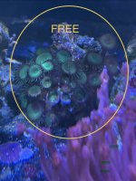 IMG_0291.jpeg