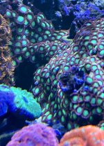 IMG_0324.jpeg
