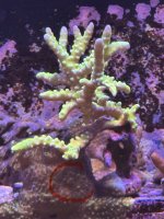IMG_1426.jpeg
