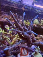 IMG_3074.jpeg