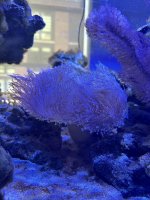 IMG_3614 1.jpg