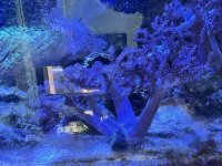 IMG_3615 1.jpg