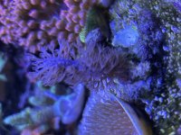 IMG_3896.jpeg