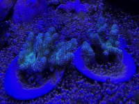 IMG_7698.jpeg