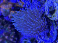 IMG_4135.jpeg