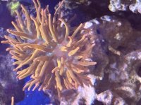 IMG_3479.jpeg