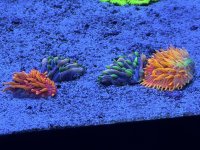 IMG_8381.jpeg