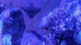 20260608_160842.jpg