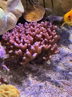 IMG_7407.jpeg