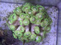 IMG_9247.jpeg