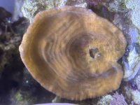 IMG_9244.jpeg