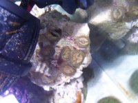 100_1108.jpg