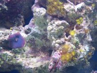 100_1056.jpg