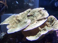 100_1111.jpg
