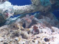100_1060.jpg