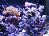 IMG_3214.jpg