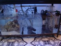 Sump.jpg