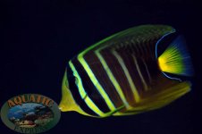 DSC_0035.JPG