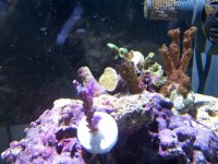 100_1153.jpg