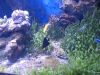 IMG_0841.jpg