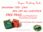 holiday_sale.gif