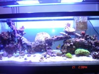 75 update June 21 004.JPG