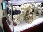 New Tank Photos with water! 002.JPG