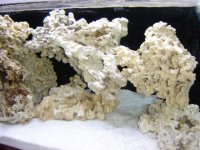 New Tank Photos with water! 005.JPG