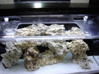 New Tank Photos with water! 006.JPG