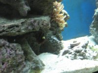 IMG_0458.jpg
