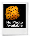 no-image.gif