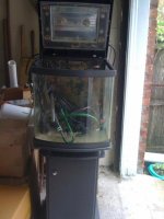 100APPLEIMG_0143.jpg