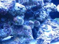 IMG_0951.jpg
