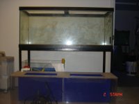 Sump for 75 004.JPG