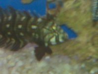 IMG00016.jpg