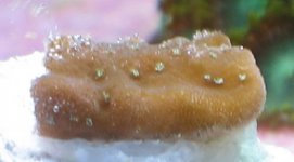 IMG_0985.jpg