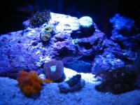 IMG_1805.jpg