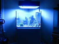 Elos tank 001.jpg