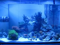 Elos tank 002.jpg