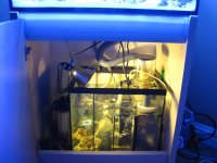 Elos tank 003.jpg