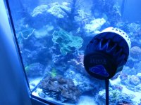 Elos tank 004.jpg