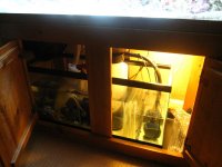 IMG_0252.jpg
