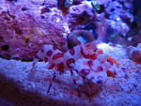 IMG_1815.jpg
