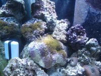 IMG_0265.jpg