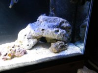 DSCF6022.jpg