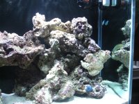 IMG_0278.jpg