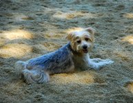 DSC_0006.jpg