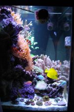 IMG_6184.jpg